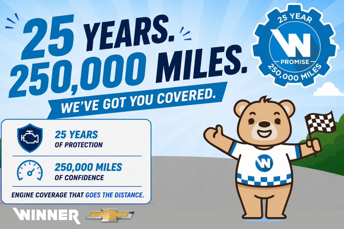 25 Year 250,000 Mile Protection