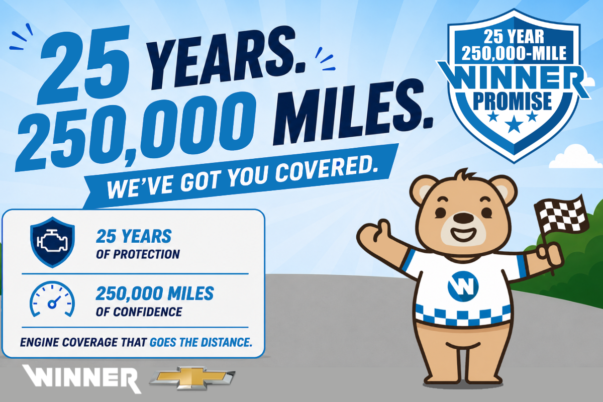 25 Year 250,000 Mile Protection